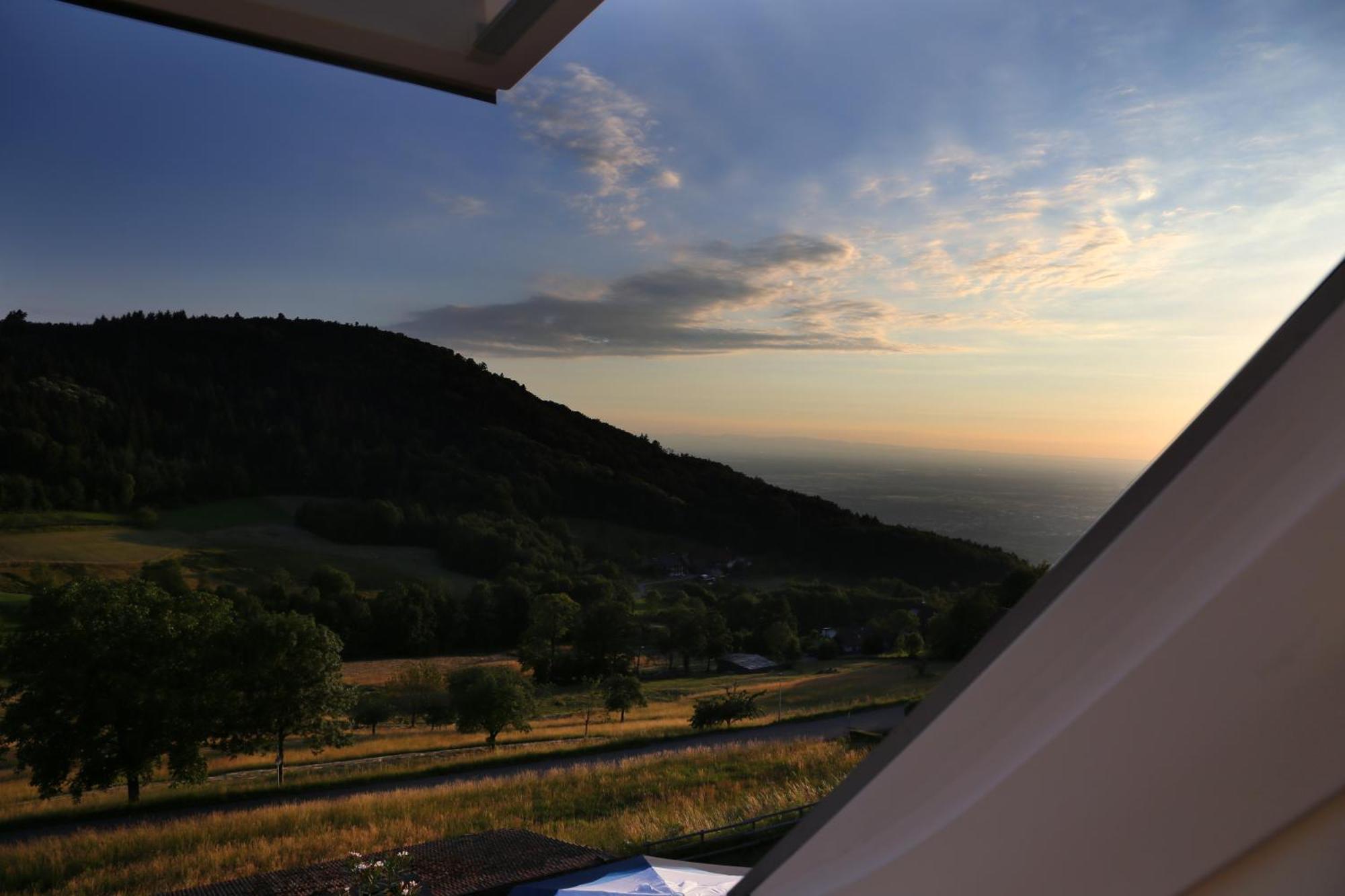 Hotel-Berggasthof Schwarzwaldperle ساسباشفالدن الغرفة الصورة