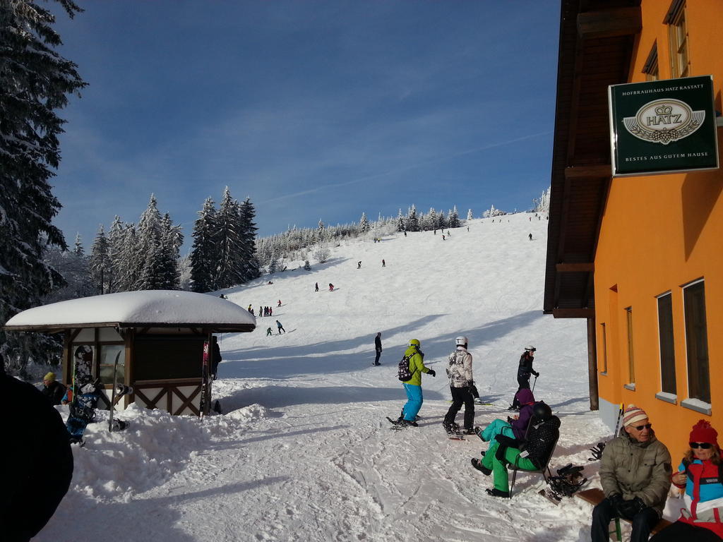 Hotel-Berggasthof Schwarzwaldperle ساسباشفالدن المظهر الخارجي الصورة