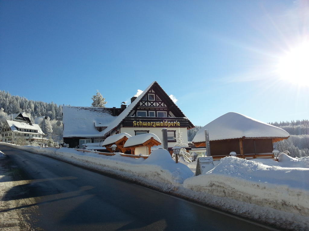 Hotel-Berggasthof Schwarzwaldperle ساسباشفالدن المظهر الخارجي الصورة