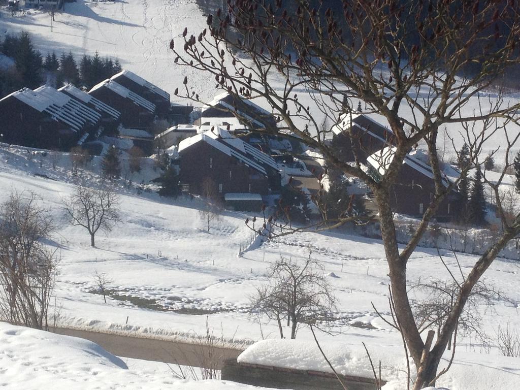 Hotel-Berggasthof Schwarzwaldperle ساسباشفالدن المظهر الخارجي الصورة