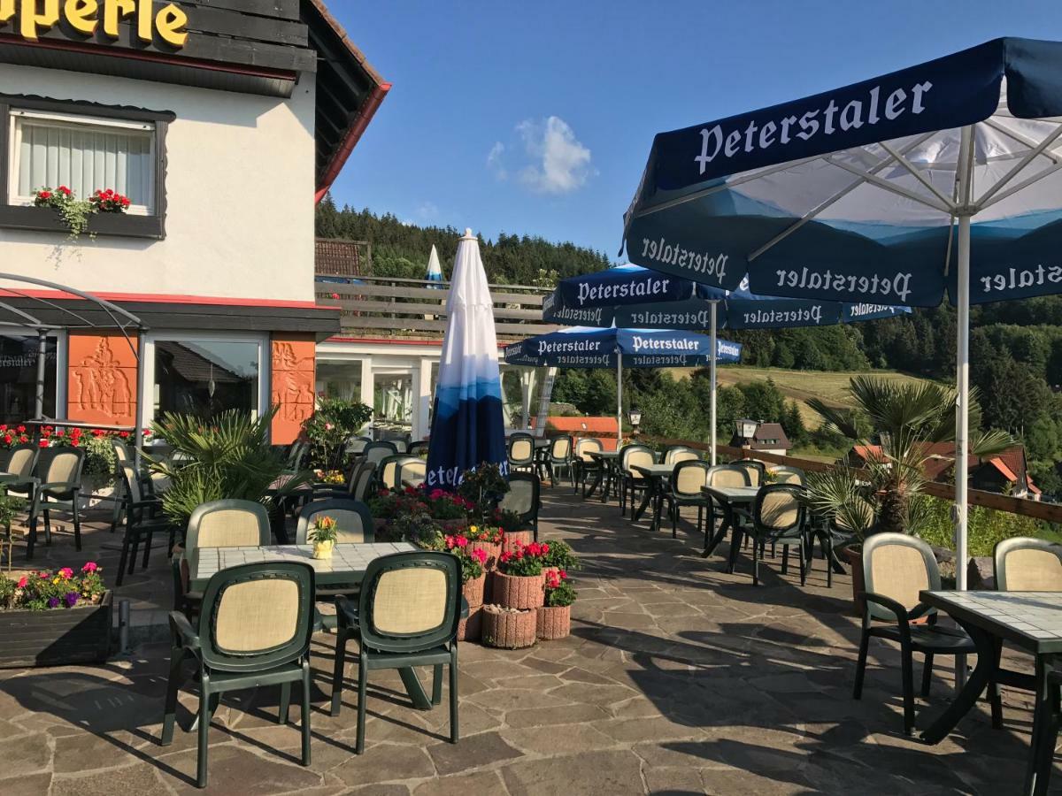 Hotel-Berggasthof Schwarzwaldperle ساسباشفالدن المظهر الخارجي الصورة